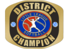 DSBP 12U Softball - District Champs!